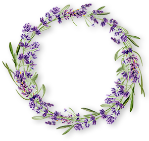 ラベンダーのイラスト